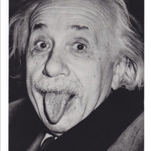 Meet your Posher, Gavin